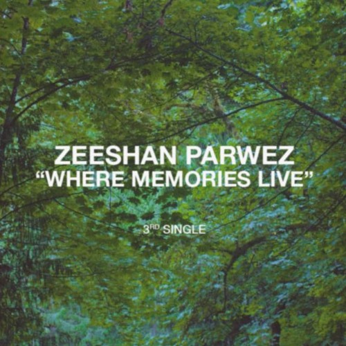 Where Memories Live