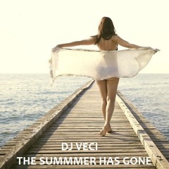 Dj Veci - The Summer has Gone (Promo)