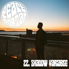 22. ShadowVariable