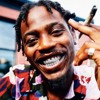 Chopped And Screwed Flipp Dinero Leave Me Alone Mp3