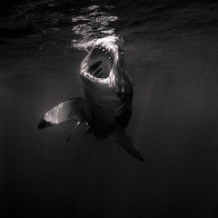 Without feeling (Unfinished demo)