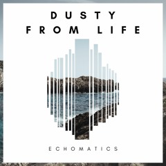 Dusty From Life