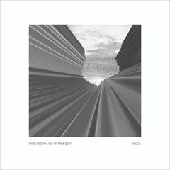 What Did You See On That Day? - jaoco.