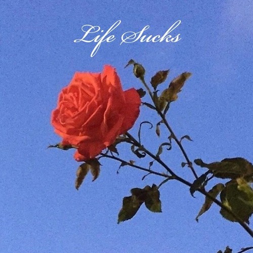 Life Sucks (prod. Aquinas)