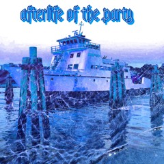 afterlife of the PART¥