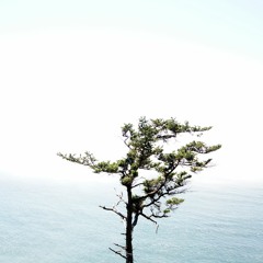 Tijuana Herb (prod. Jordi Fordi)