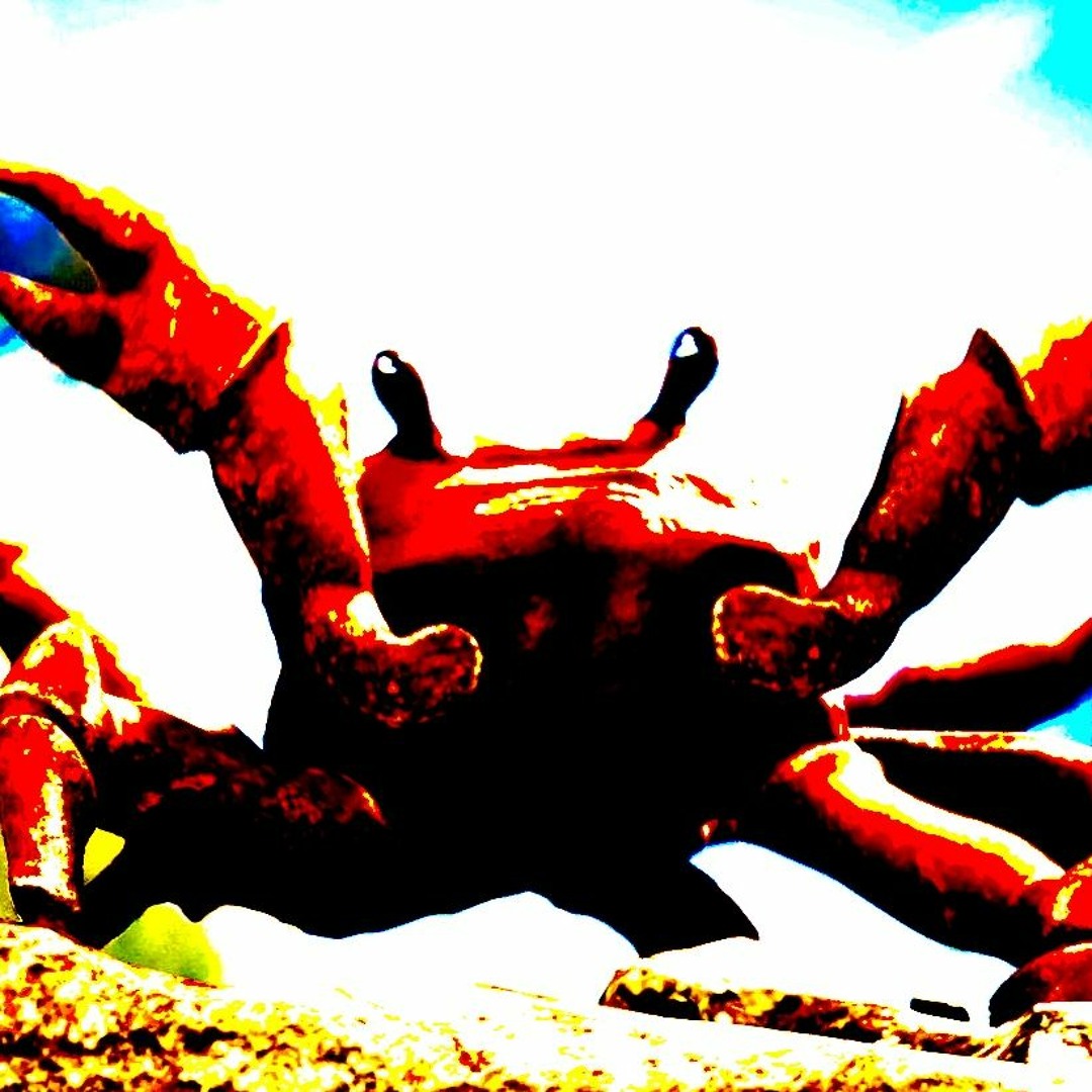 Stream Crab Rave [BASS BOOSTED] by meltedspoon420 | Listen online for ...