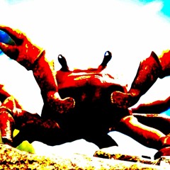 Crab Rave [BASS BOOSTED]