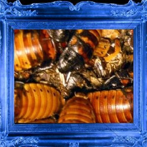 FiLTHY (PROD. MKULTRA)