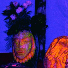flower head/Re-appearance