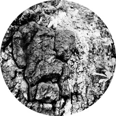 PREMIERE : Mava & Nekubat - Polymer (Vakula Version)