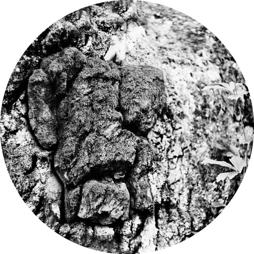 PREMIERE : Mava & Nekubat - Polymer (Vakula Version)