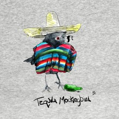 Tequila Mockingbird (Prod. Vessels)