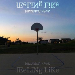 fEeLiNg LiKe - SiNgLe