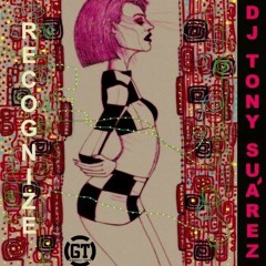 Tony Suarez - Recognise (Ted Arell Remix) Gobegli Tape (New York - USA)