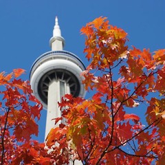 Fall in Toronto