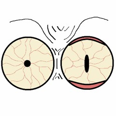 A Kingdom Underwater