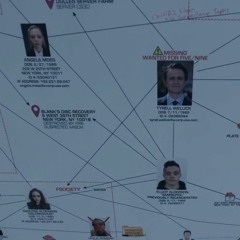 Mr. Robot ( The Moth and the Flame )