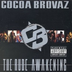 Cocoa Brovaz (Smif N Wessun) & The X-Ecutioners On Future Flavaz