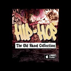 Hip - Hop The Old Skool Mix