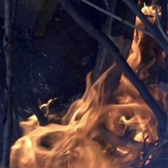 eyes like a flame of fire