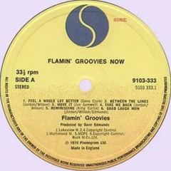 Flamin' Grooves - Genic