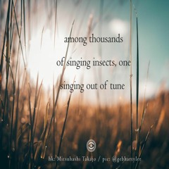 Among Thousands Of Singing Insects, One Singing Out Of Tune (NaviarHaiku 244)