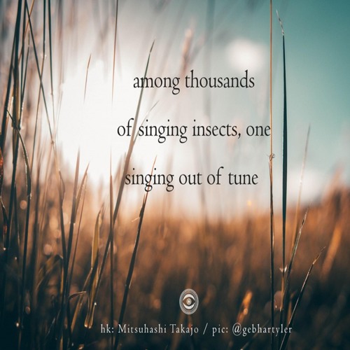 Among Thousands Of Singing Insects, One Singing Out Of Tune (NaviarHaiku 244)