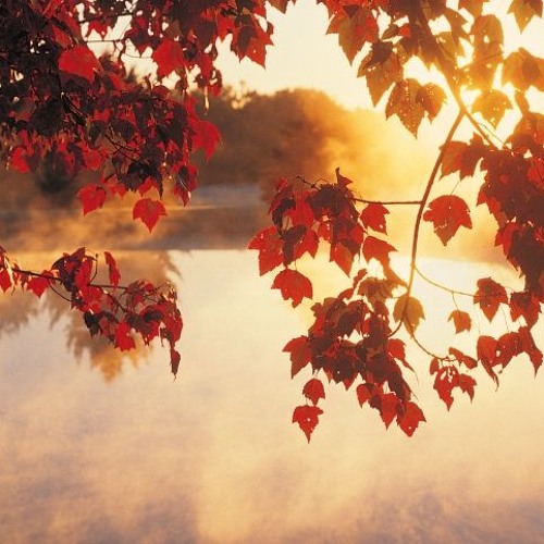 September Prog Mix