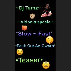 ~Dj Tamz~ Aidonia Special Slow - Fast ~ Bruk Out An Gwarn ~ Teaser