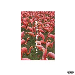 Gucci Skadouchi- plastic flamingos