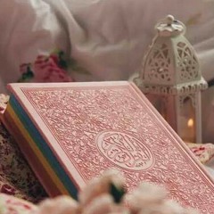 الشيخ محمود انور الشحات (سورة يوسف) من فرنسا