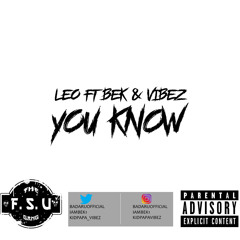 You Know (FT BEK and Vibez)
