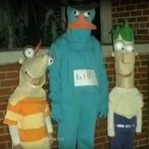Welcome to My Planet by Pomplamoose