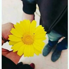 ~ أتقبلني بما أشعر ؟👑💚