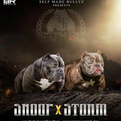 My Dog (SMB) Rheem & Lil Andy