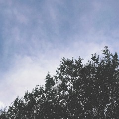 quiescent