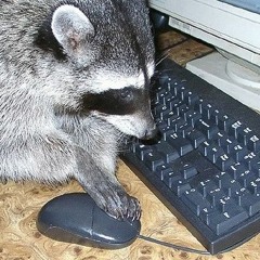 Two Bean (Mass Deaf Mix)