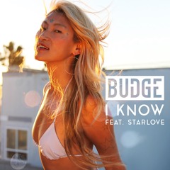 Budge Feat. Starlove - I Know