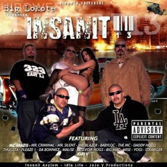 BIG LOKOTE - INSANIT13