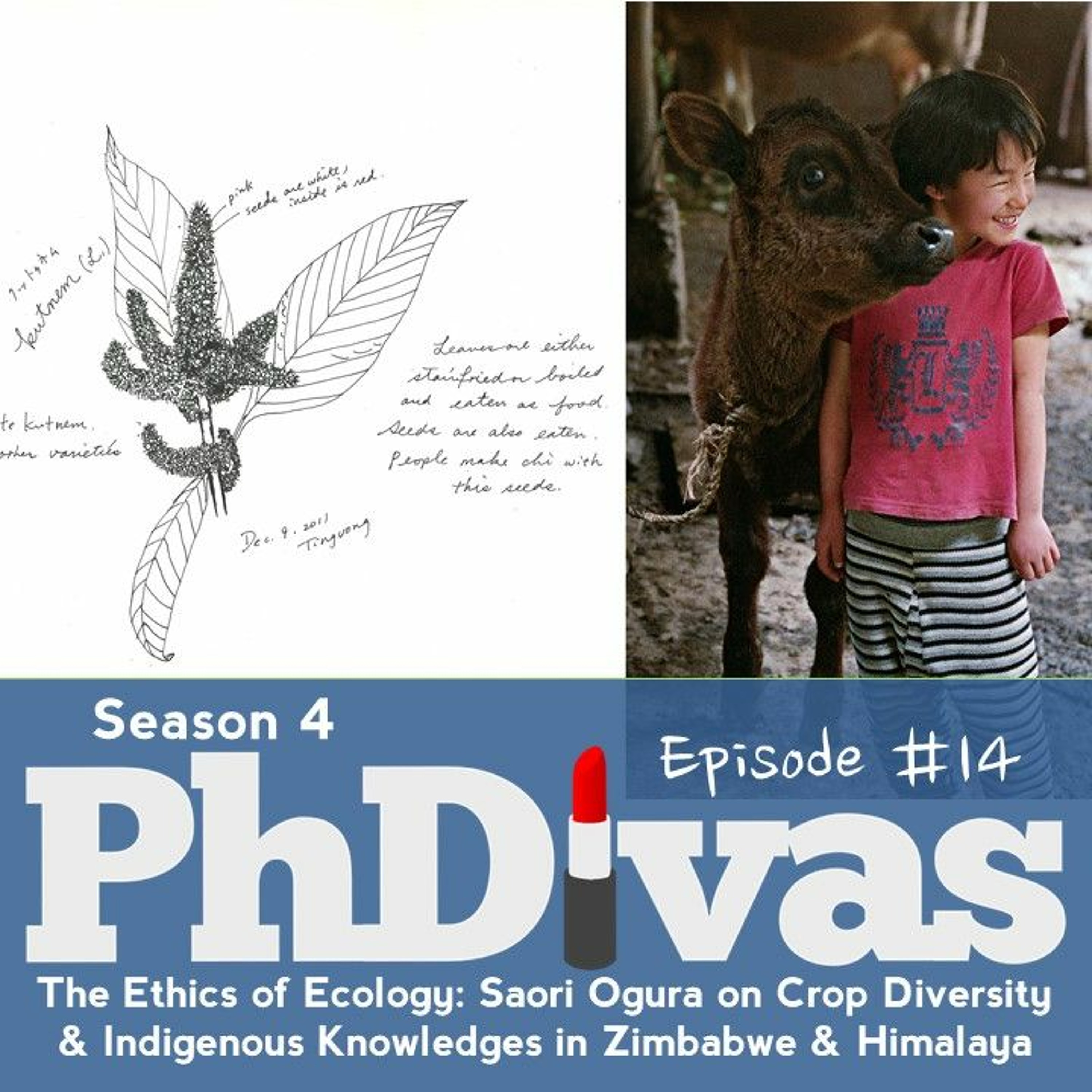PhDivas