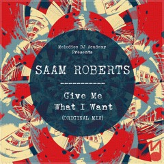 Give Me What I Want (Original Mix)