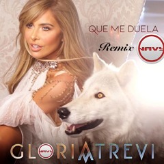 Que me duela Gloria Trevy Remix by Dj Navy