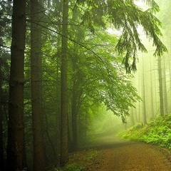 Dört X Dört - Arada Bir