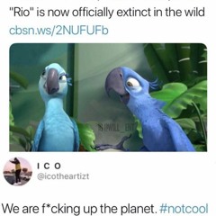 NOT COOL-(ft, Brae$av, Corty Grams,) (Prod. RichDollaKush)