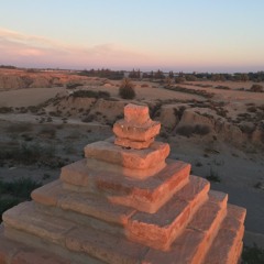 Damask Rose - Vangelis - Pot Drum remix