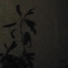 As aventuras de Alvin e Lance