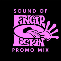 Soul Of Man - Sound Of Finger Lickin Promo Mix