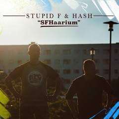Stupid F & Hash - Ma Kuulen Ja Näen