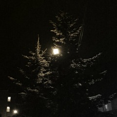 streetlamp